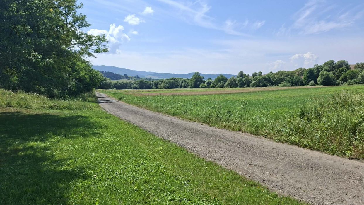 Investičný pozemok Chmeľovec okr. Prešov, 4561m2 — 8